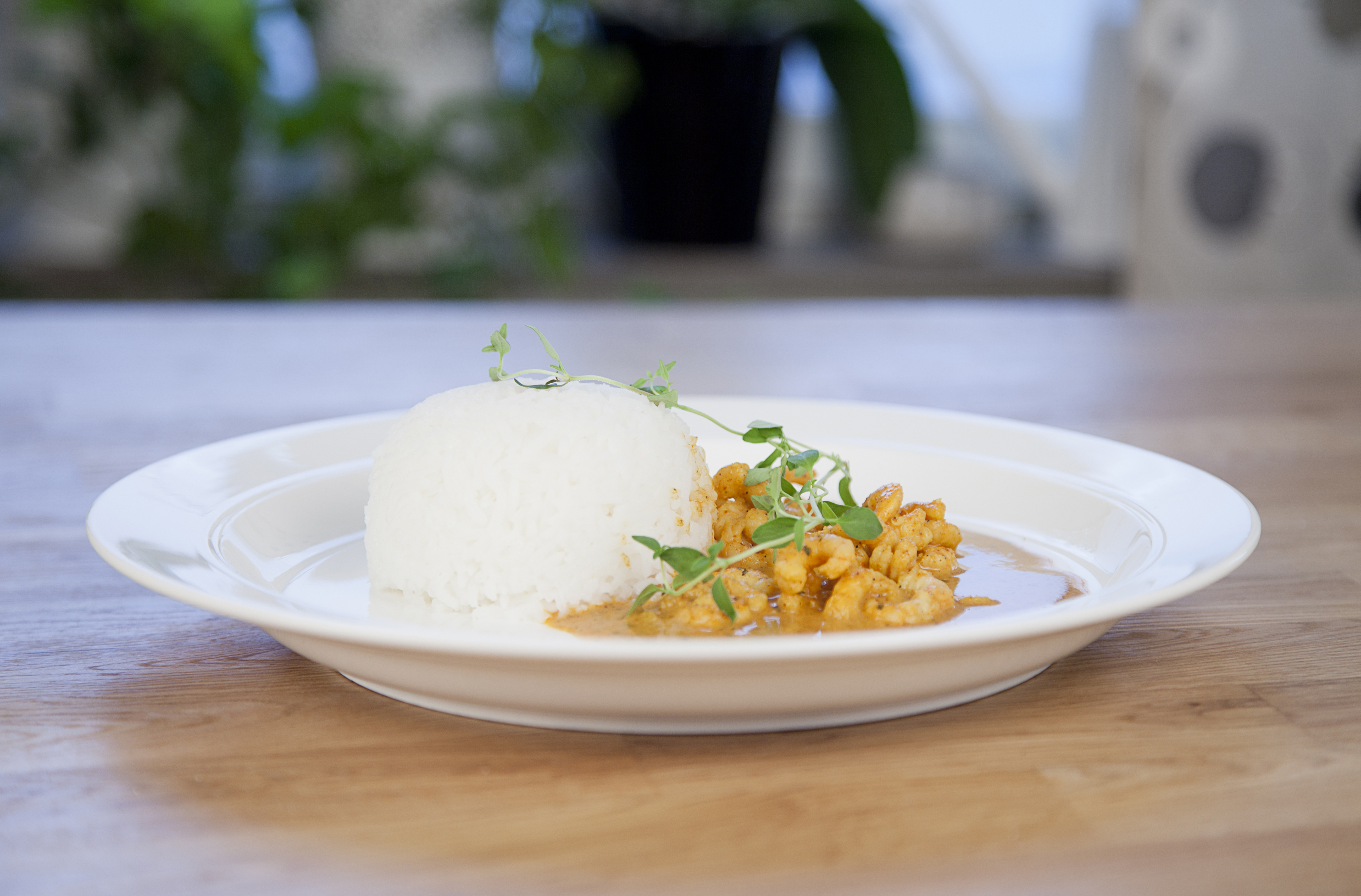 Plate flat Ø 26,5 cm Duro